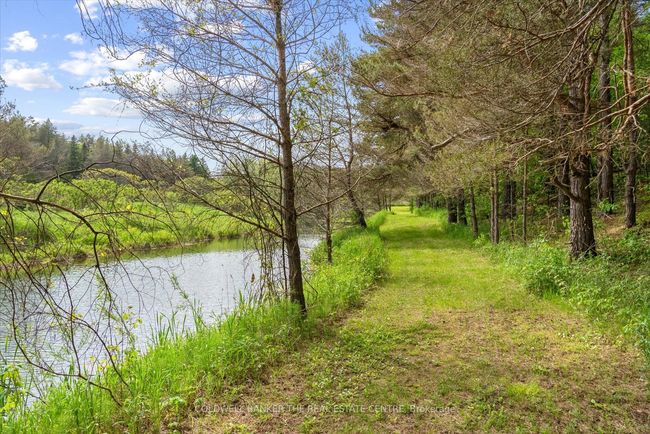 798213 3 Rd Line, House other with 4 bedrooms, 2 bathrooms and 10 parking in Mulmur ON | Image 49
