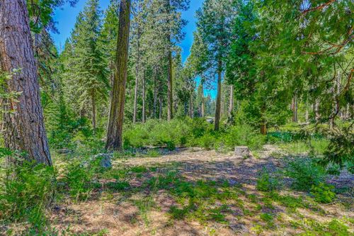 10 Timber Trail Ct, Arnold, CA, 95223 | Card Image