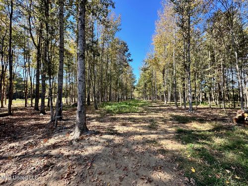 Lot #D Swamp Road, Carthage, MS, 39051 | Card Image