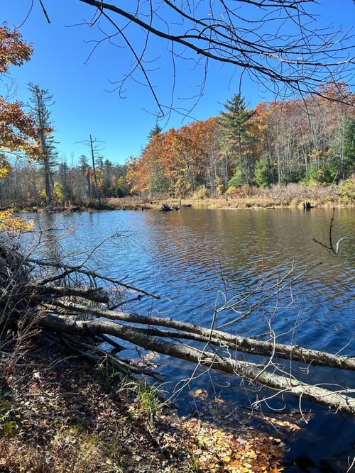 Lot 032 Overlook Ct, Kennebunk, ME, 04043-6349 | Card Image