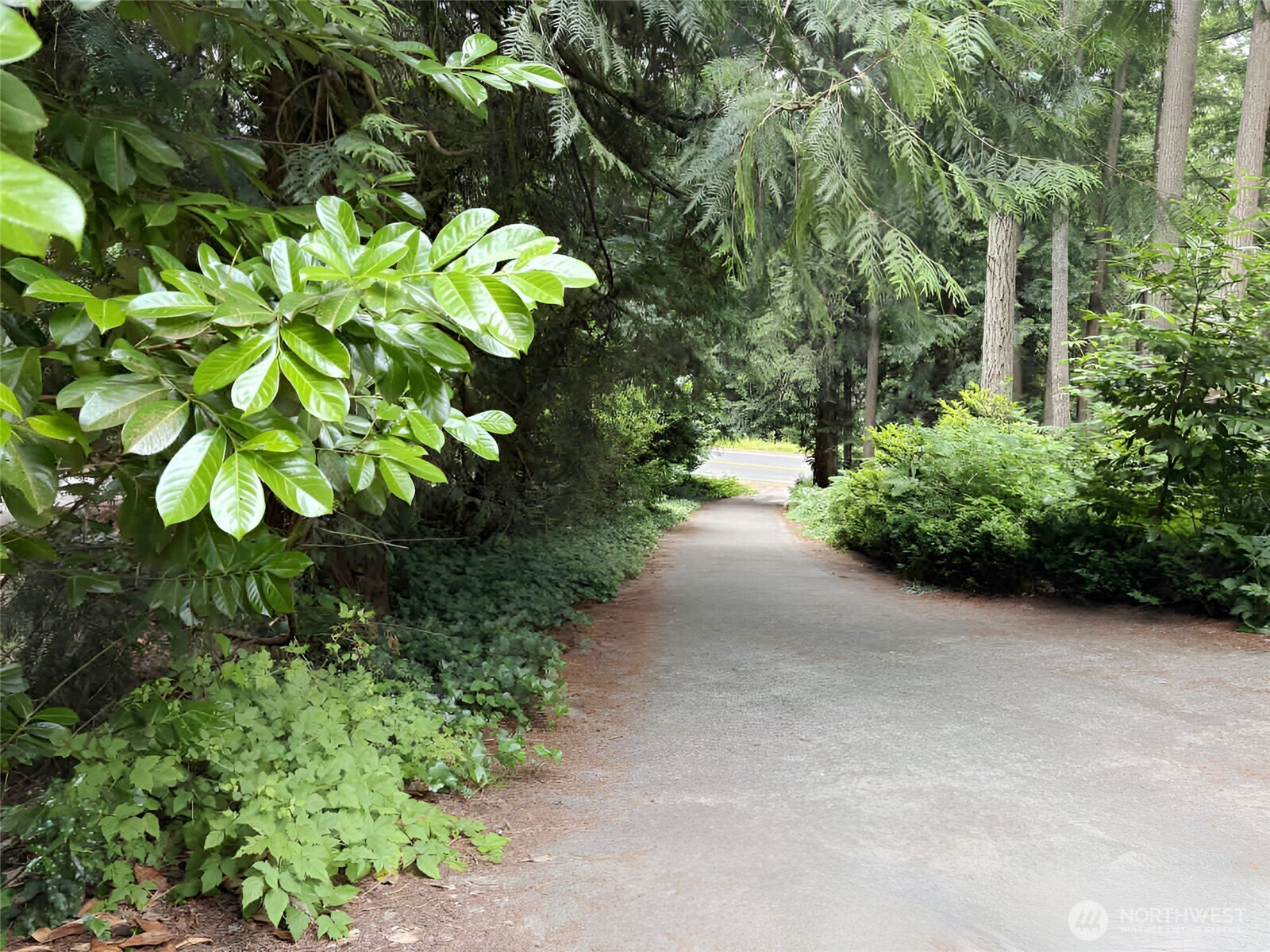 Residential in Issaquah 5