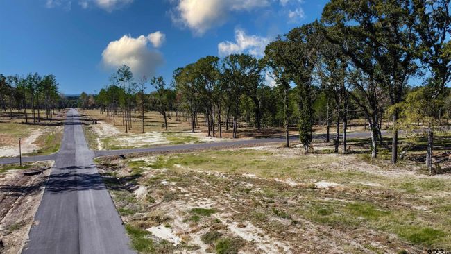 15538 Aniston Ln, Home with 0 bedrooms, 0 bathrooms and null parking in Flint TX | Image 33
