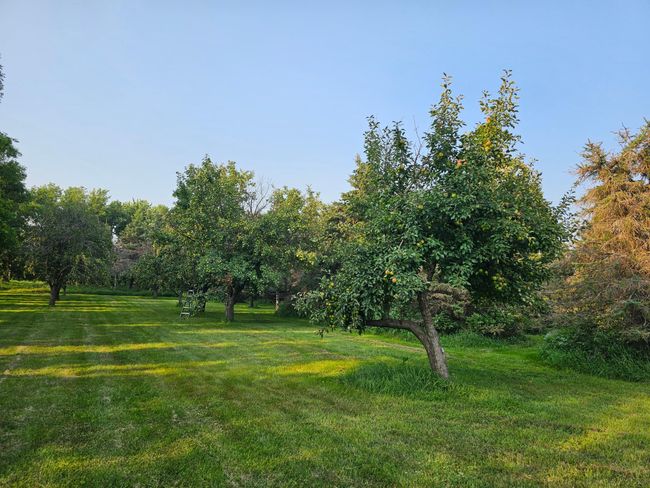 200 Spring View Dr, House other with 5 bedrooms, 3 bathrooms and null parking in Edgerton MN | Image 20
