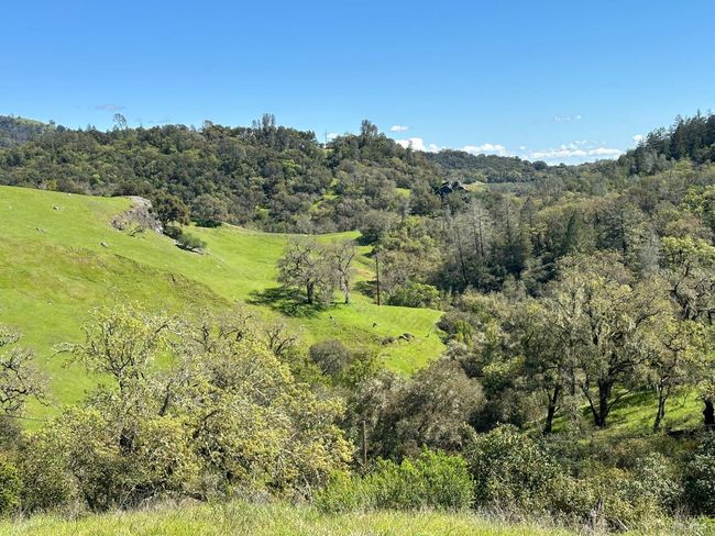 23655 Vineyard Rd, Home with 0 bedrooms, 0 bathrooms and null parking in Geyserville CA | Image 8