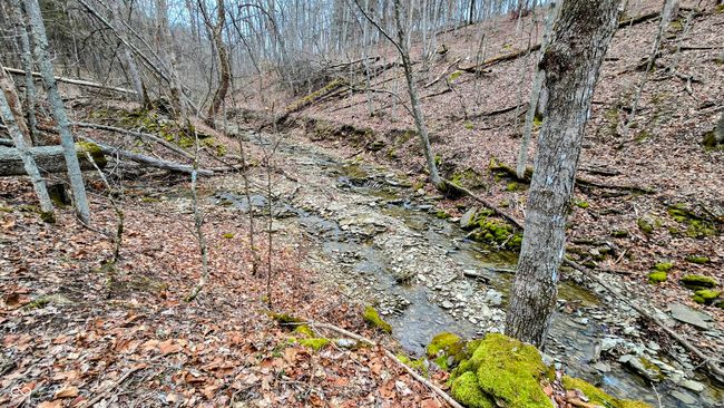 5900 S County Road 700 E, Home with 0 bedrooms, 0 bathrooms and null parking in Dillsboro IN | Image 52