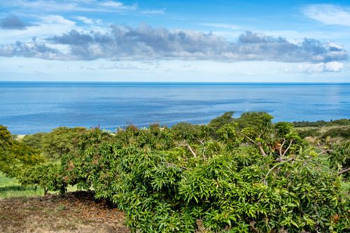 81-488 Palena Pl, KEALAKEKUA, HI, 96750 | Card Image