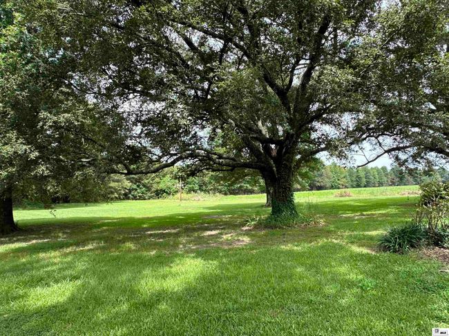 2434 Highway 132, House other with 3 bedrooms, 2 bathrooms and null parking in Mangham LA | Image 17