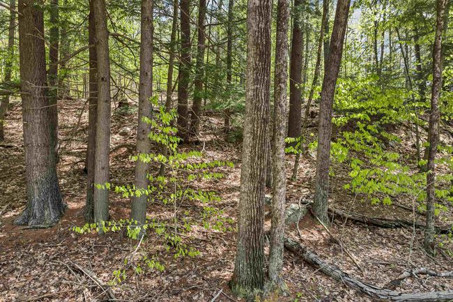 0 Stone Rd, Home with 0 bedrooms, 0 bathrooms and null parking in Gilmanton NH | Image 6