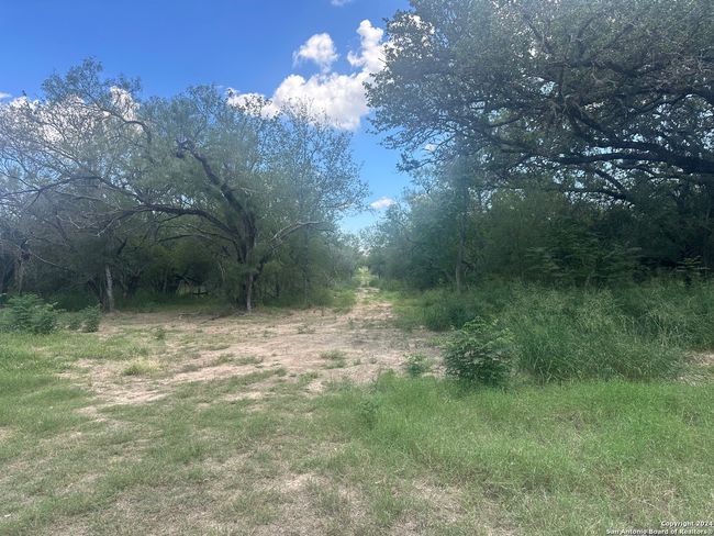 20588 S State Highway 16, Home with 0 bedrooms, 0 bathrooms and null parking in Atascosa TX | Image 7