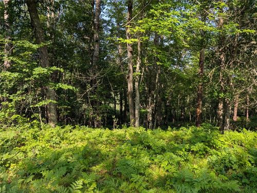 XXX Dock Lake Rd, SPOONER, WI, 54801 | Card Image