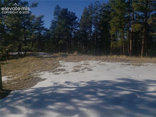 206 Eagles Perch Pl, Woodland Park, CO, 80863-9042 | Card Image