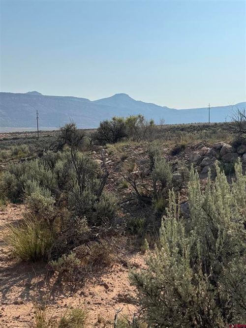 TBD Highway 90, Bedrock, CO, 81411 | Card Image