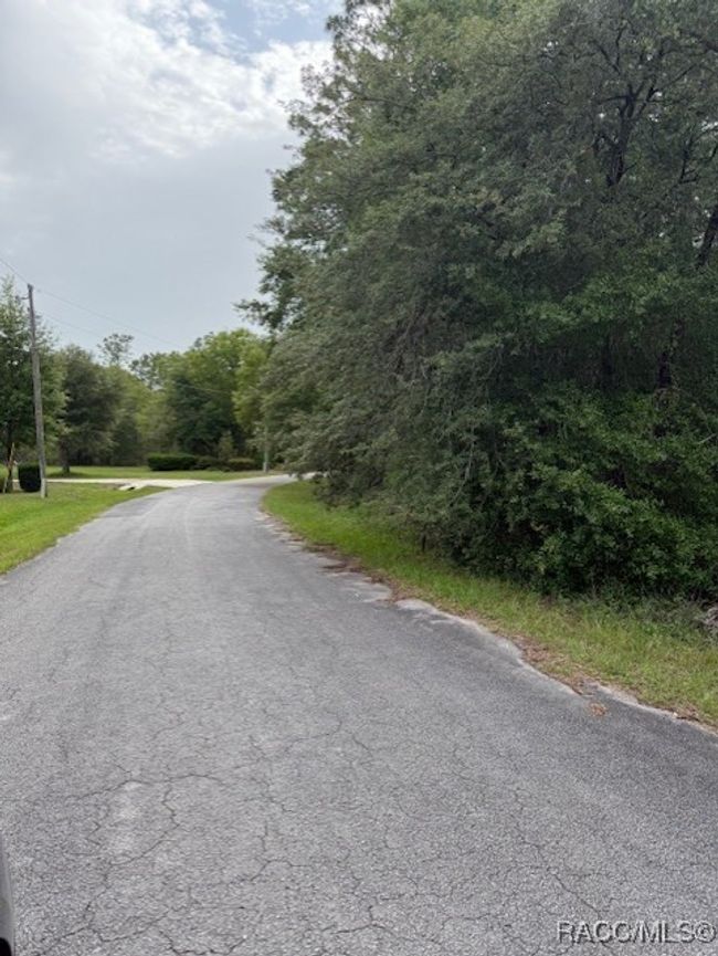 0 Sw 66 Th Loop, Home with 0 bedrooms, 0 bathrooms and null parking in DUNNELLON FL | Image 4