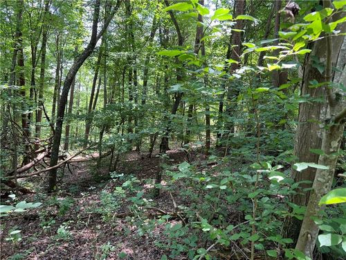 0 Lavender Trl Nw, Rome, GA, 30165 | Card Image