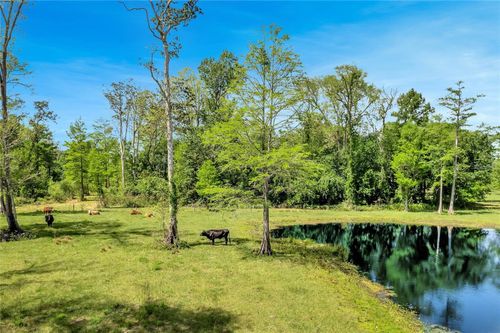 TBD Corkwood Ln, Astatula, FL, 34705 | Card Image