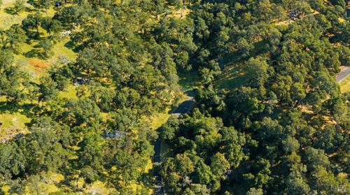 20 Longhorn Ridge Rd, Napa, CA, 94558-9332 | Card Image