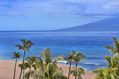 I-904 - 50 Nohea Kai Dr, Condo with 2 bedrooms, 2 bathrooms and null parking in Lahaina HI | Image 1