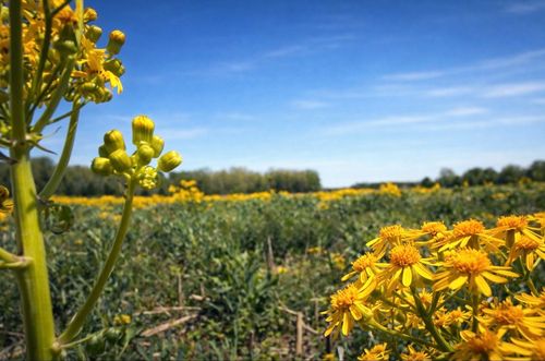 0 Valley Rd, Lawrenceburg, TN, 38464 | Card Image