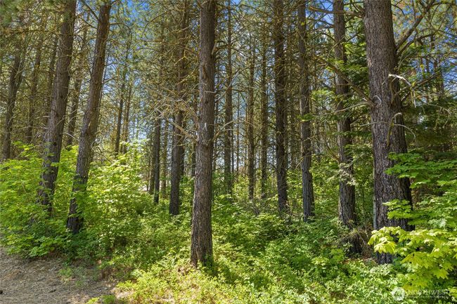 831 Iron Monarch Loop, Home with 0 bedrooms, 0 bathrooms and null parking in Cle Elum WA | Image 10