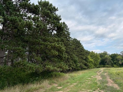 (Lot 2) TBD Tulip St Nw, Stanchfield, MN, 55080 | Card Image