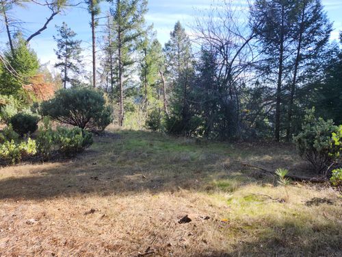 1196 Doe Rd, Rail Road Flat, CA, 95248 | Card Image