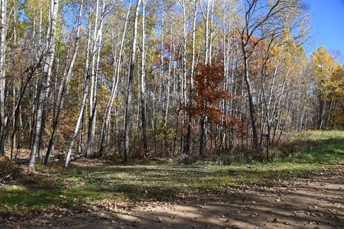 39924 Oriole Ct, Browerville, MN, 56438 | Card Image