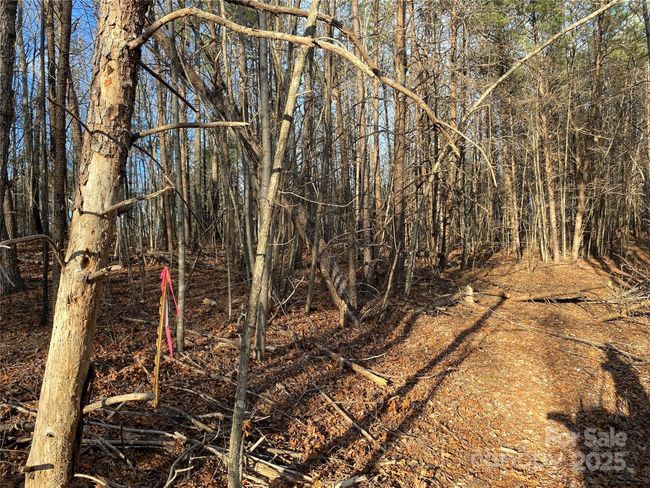 3 - 3288 Tatertown Loop, Home with 0 bedrooms, 0 bathrooms and null parking in Nebo NC | Image 4