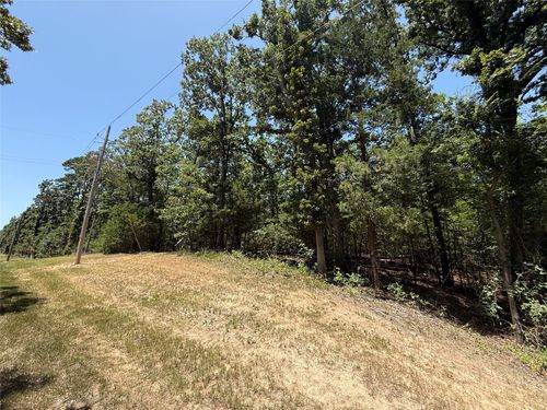 TBD Whispering Pine Trl, Mount Vernon, TX, 75457 | Card Image
