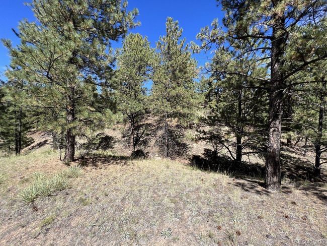 82 Kiowa Cir, Home with 0 bedrooms, 0 bathrooms and null parking in Westcliffe CO | Image 18