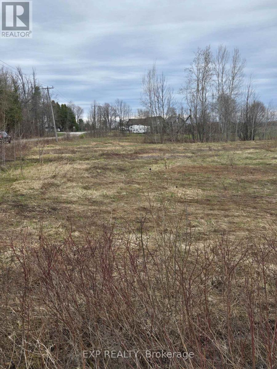 Land in Ramara 5