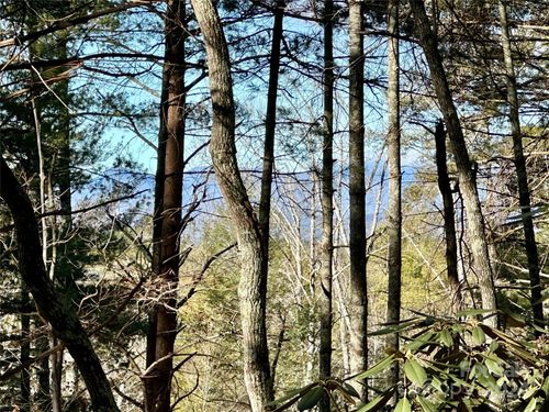 147-2086 October Dr, Nebo, NC, 28761-0242 | Card Image