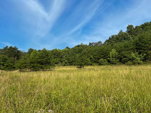 0 Little Forest Run Rd, Reedsville, OH, 45772 | Card Image