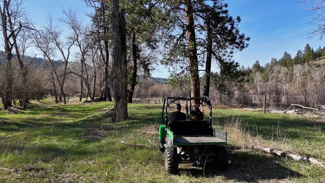 9430 Us Highway 93 S, Home with 0 bedrooms, 0 bathrooms and null parking in Lolo MT | Image 36