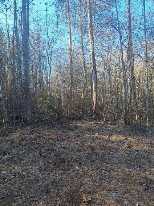 lots Bent Wood Lane, Blue Ridge, GA, 30513 | Card Image