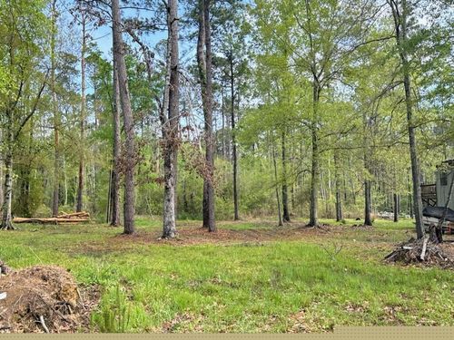 31581 River Pines Dr, Springfield, LA, 70462-8885 | Card Image