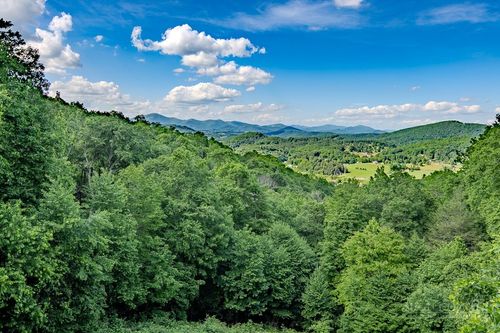 354 Brown Mountain Ridge Rd, Blowing Rock, NC, 28605-9717 | Card Image