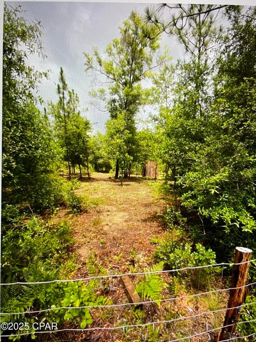 176 Two Tail Road, Alford, FL, 32420 | Card Image