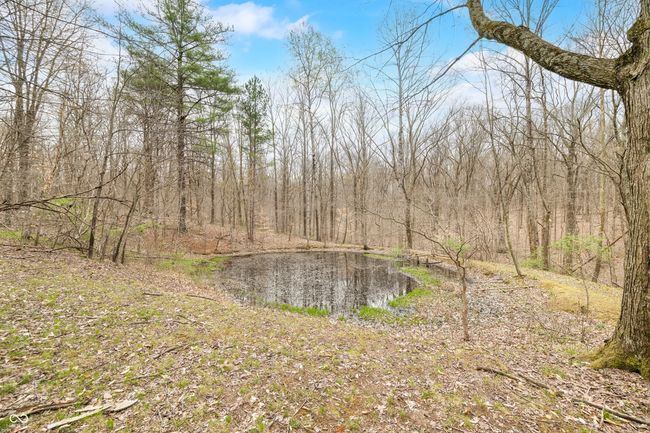 8503 Bean Blossom Rd, House other with 3 bedrooms, 2 bathrooms and null parking in Trafalgar IN | Image 82