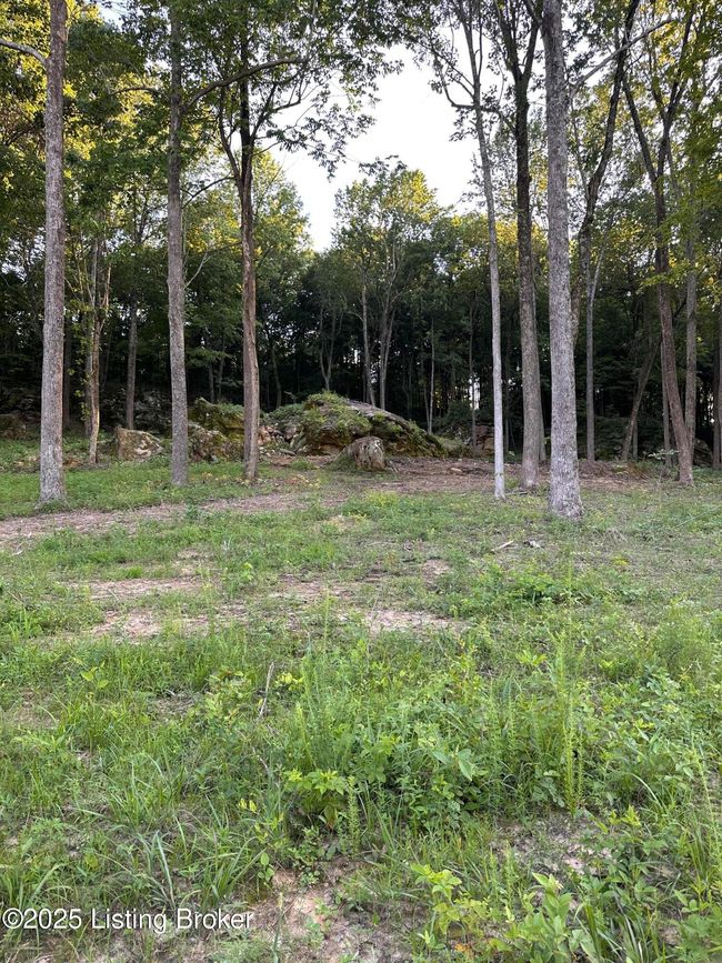 5 Cave Creek Rd, Home with 0 bedrooms, 0 bathrooms and null parking in Falls Of Rough KY | Image 15
