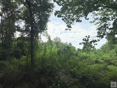 TBD Miller County 373, Texarkana, AR, 71854 | Card Image