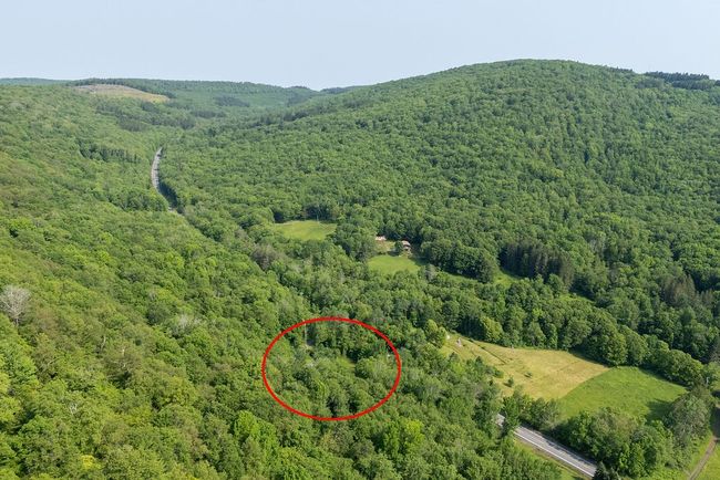 24780 State Highway 206, House other with 3 bedrooms, 2 bathrooms and null parking in Downsville NY | Image 46