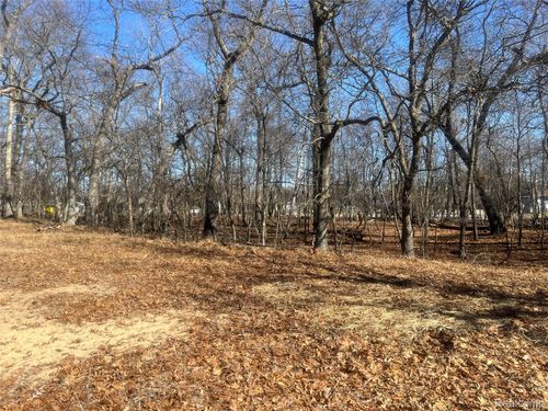 0 White Sands Dr, Pigeon, MI, 48755 | Card Image