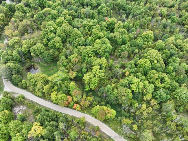 1147 Cronk Rd, Home with 0 bedrooms, 0 bathrooms and 4 parking in Parham ON | Image 34