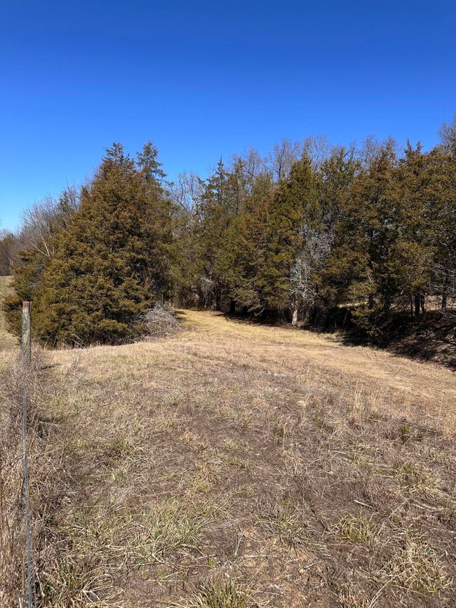 265 - 24265 S Mohawk Rd, Home with 0 bedrooms, 0 bathrooms and null parking in Mohawk TN | Image 31