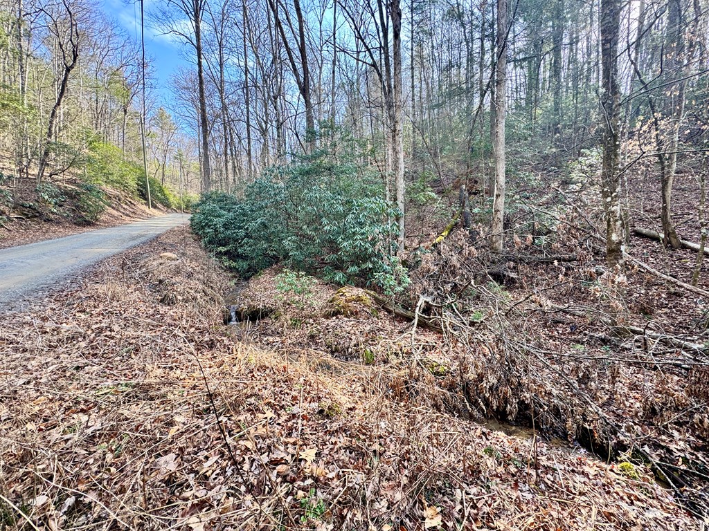 Land in Ellijay 5