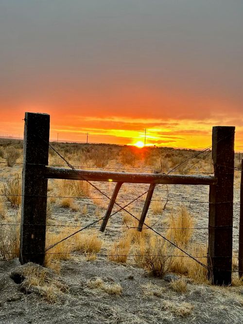 89048 W Campbell Ln, Christmas Valley, OR, 97641 | Card Image