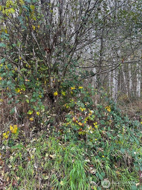 7615 Sprucecrest St Sw, Olympia, WA, 98512-2475 | Card Image