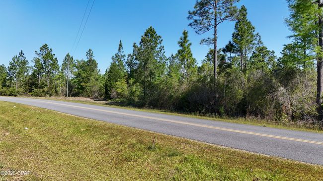 0 Nw Miller Rd, Home with 0 bedrooms, 0 bathrooms and null parking in Altha FL | Image 4