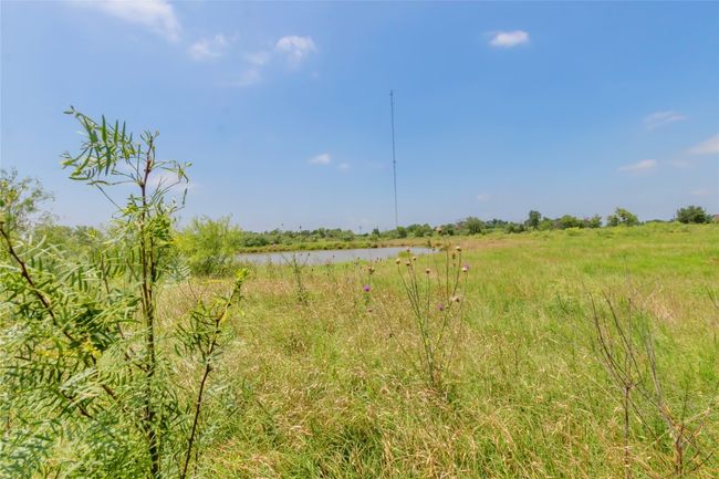 View of local wilderness featuring a nearby body of water | Image 13