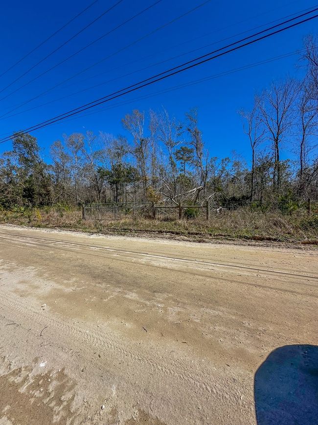 915 Sw 248th Ave, Home with 0 bedrooms, 0 bathrooms and null parking in Steinhatchee FL | Image 10